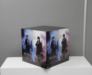 Harry Potter Display Large Cube Wizarding World GP321